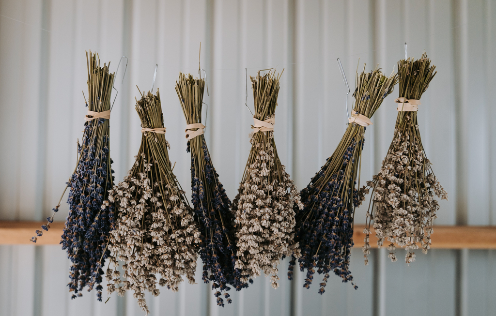 Bundles and Buds